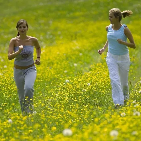 Mats Alpenquartier 4*