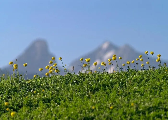 Bed & Breakfast Mats Alpenquartier 4*